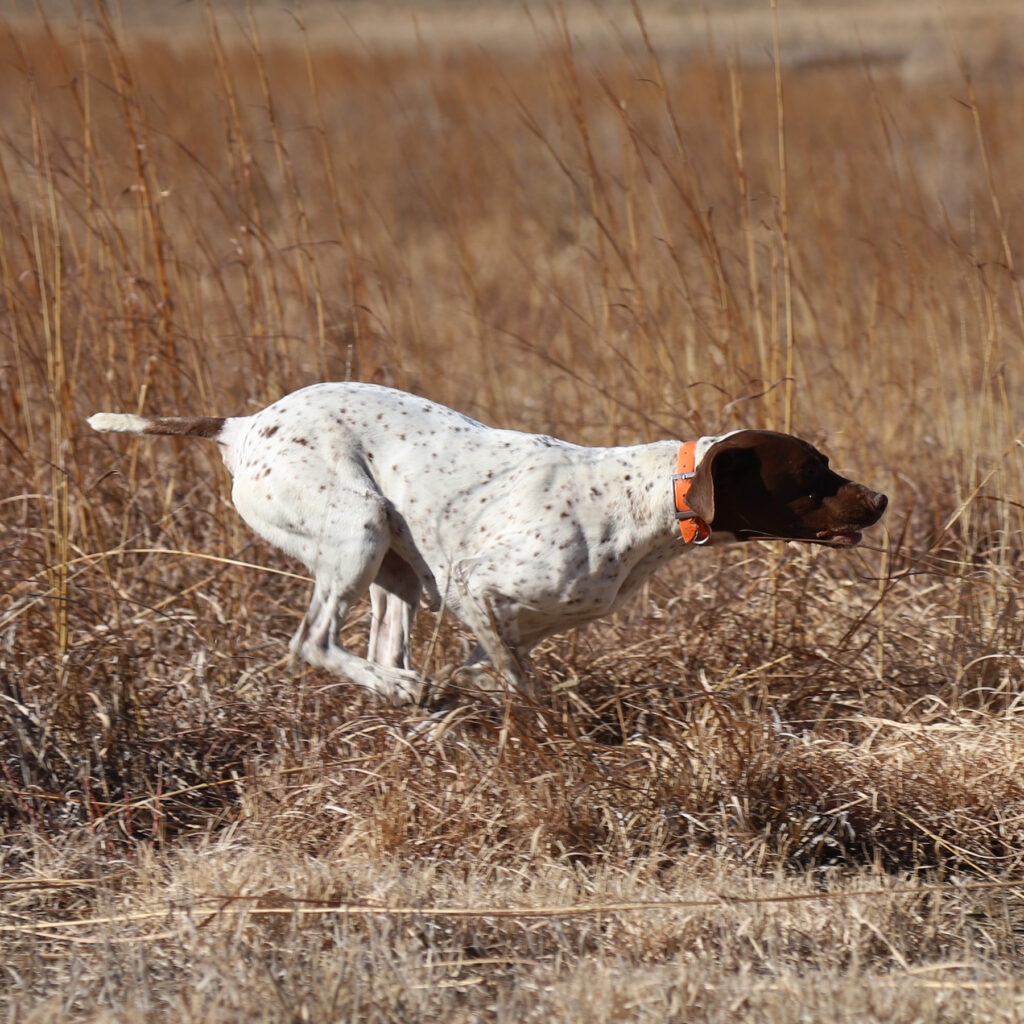 Harvest GSP